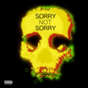 Sorry Not Sorry (Explicit)