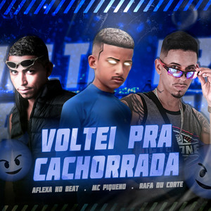 Voltei pra Cachorrada (Remix Brega Funk) [Explicit]