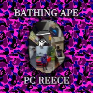 Bathing Ape (Explicit)