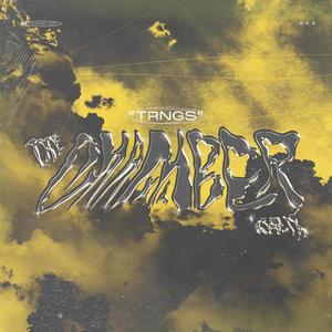 the chamber (trngs Remix)