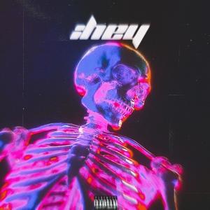 HEY (feat. Kaco, Saykodaa & Praisewoke) [Explicit]