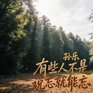 有些人不是说忘就能忘 (伴奏)