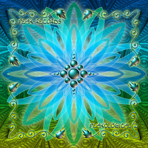 Morphogenetic Ascent