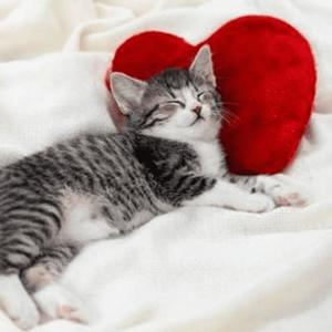 tell me u hate me :3 (feat. neevah) (Explicit)