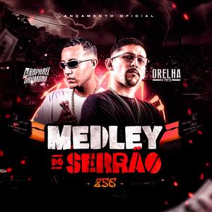 MEDLEY DO SERRÃO - 856 - MC ORELHA