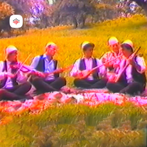 U nis nizaja prej stambolli ne shkoder