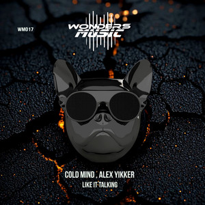 Like It Talking (Extended Mix)