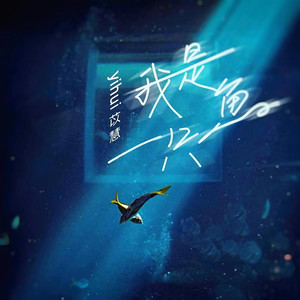 我是一只鱼 (女声版|Single Version)封面