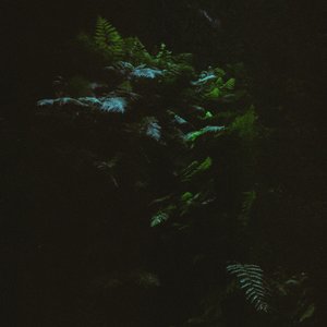 Alba (Luis León Rephase)