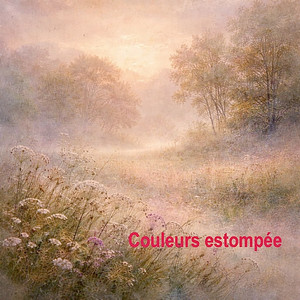 Couleurs estompée