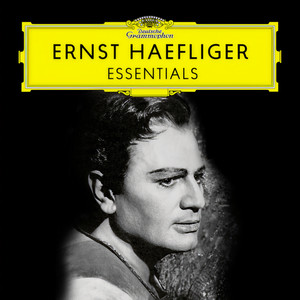 Myrthen, Op. 25 - Schumann: Myrthen, Op. 25: No. 3, Der Nussbaum (艺术歌曲《桃金娘》，Op. 25)