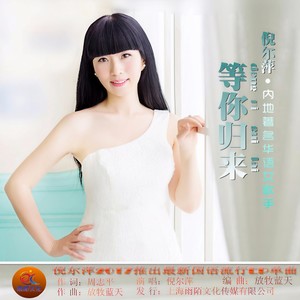 等你归来封面