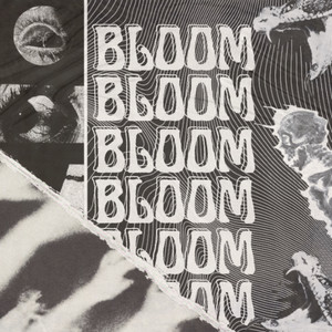 BLOOM (Explicit)