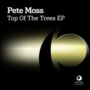 Top Of The Trees