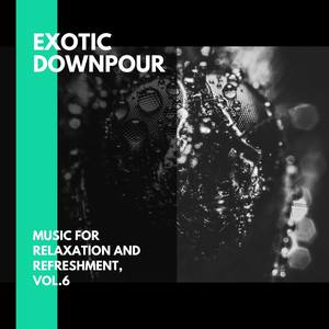 Exotic Downpour - Music for Relaxation and Refreshment, Vol.6