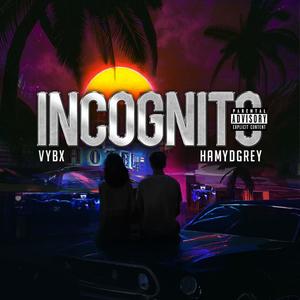 Incognito (feat. Hamydgrey)