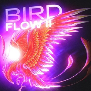 Bird Flow II (Explicit)