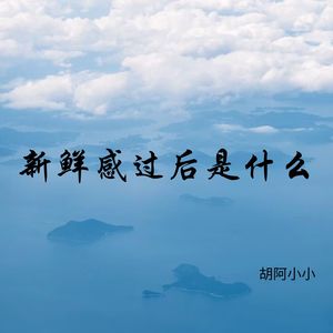 你是我的半截诗封面