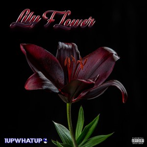 Lily Flower (Explicit)