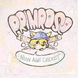 New Age Cricket