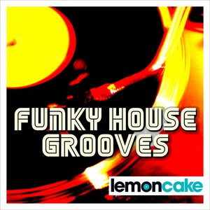 Funky House Grooves