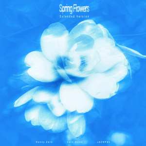 Spring Flowers (feat. Sonny Zero, JACKPAL) - Extended Version