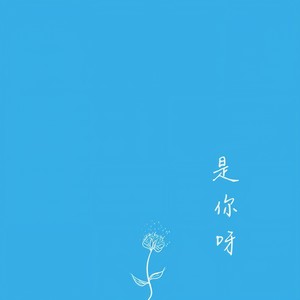 是你呀.acoustic