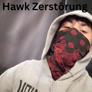 Hawk Zerstörung (Explicit)