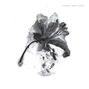 Off the Radar, Off the System