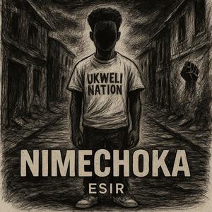 Esir - Nimechoka