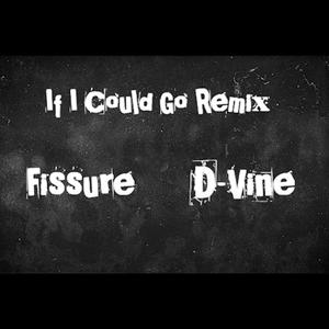 If I Could Go Remix (feat. Fissure)