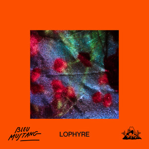 Lophyre