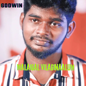 Malaigal Vilaginaalum