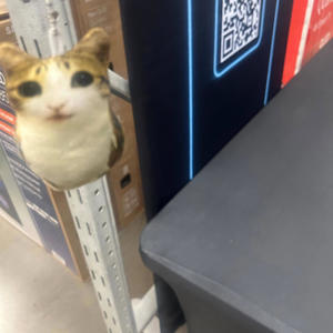 snow on the bluff (feat. Moh Baretta) (Explicit)