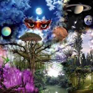 Comfortable in the Unknown