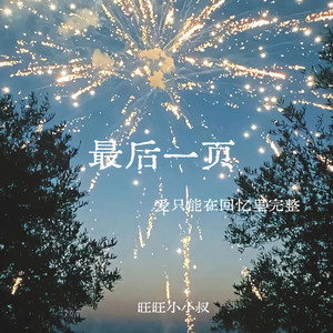 最后一页(爱只能在回忆里完整)