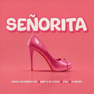 Señorita (feat. Randy El De La Pauta, E7IAS & Los Matrex)