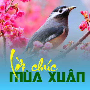 Lời chúc mùa xuân