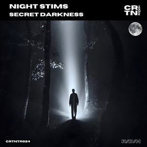 Secret Darkness (Original Mix)