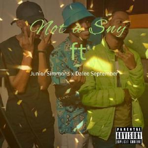 Not a Sny (feat. Junior Simmons & Daleo September) (Explicit)