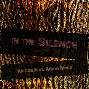 In the Silence
