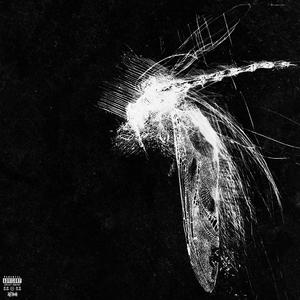 Catharsis (feat. Saint Sleep, ELE & Zyrom) (Explicit)