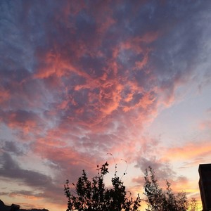 Summer (Demo)