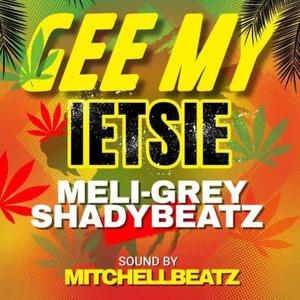 Gee My Ietsie (feat. Meli-Grey & Shadybeatz)