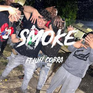 Smoke (feat. Luh cobra) [Explicit]