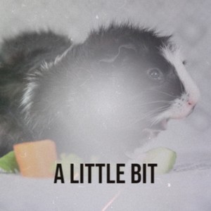 A Little Bit