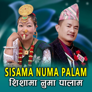 Sisama Numa Palam