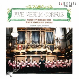 Ave verum corpus (Live)