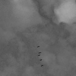 一中狠人俱乐部 Cypher 2019