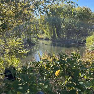 Trap Symphony (feat. Terriontay) (Explicit)